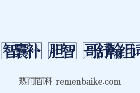 智囊补·胆智·哥舒翰组词是什么意思的图片